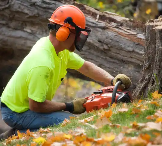 tree services Chillicothe